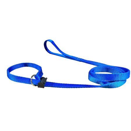 Guia Coleira Unificada Adestramento De Cães Educativa Passeio Educativa 4 Tamanhos Reforçada Barato Promoção Resistente