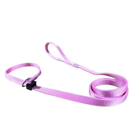 Guia Coleira Unificada Adestramento De Cães Educativa Passeio Educativa 4 Tamanhos Reforçada Barato Promoção Resistente