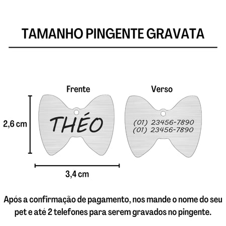 Plaquinha de Identificação Pet Pingente Cachorro Gato Personalizado
