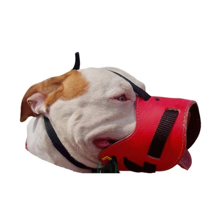 Focinheira para cachorros de Médio e Grande Porte Pitbull Rottweiler Pitbull Husky American