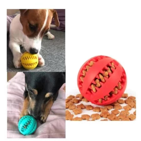 Pet Mordedor Bola Multifuncional Escova Mordedor Porta Petisco Pet Ball Boa Qualidade