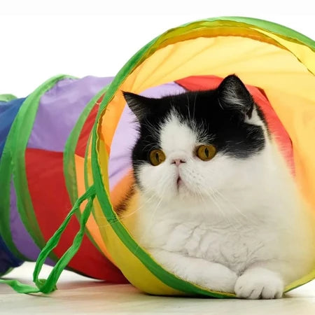 Brinquedo Para Pets Túnel Labirinto Para Gatos Colorido