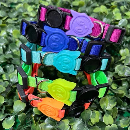 Coleira de Pescoço Anti-Enforcamento para Gatinhos - Madiba Pet