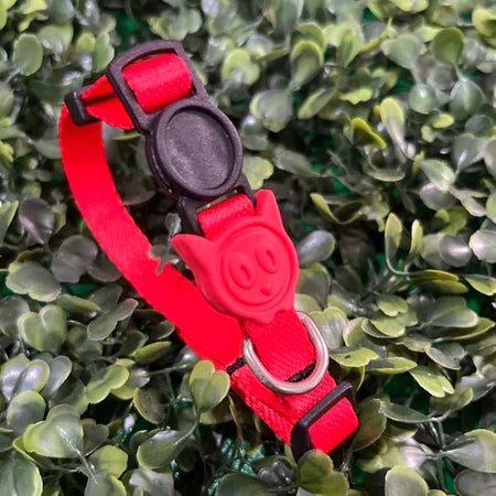 Coleira de Pescoço Anti-Enforcamento para Gatinhos - Madiba Pet