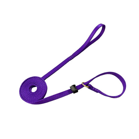 Guia Coleira Unificada Adestramento De Cães Educativa Passeio Educativa 4 Tamanhos Reforçada Barato Promoção Resistente