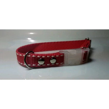 PLAQUINHA IDENTIFICAÇÃO + Coleira PET COM NOME GRAVADO