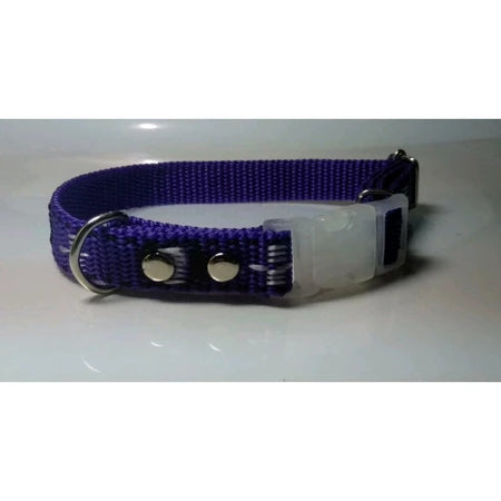 PLAQUINHA IDENTIFICAÇÃO + Coleira PET COM NOME GRAVADO