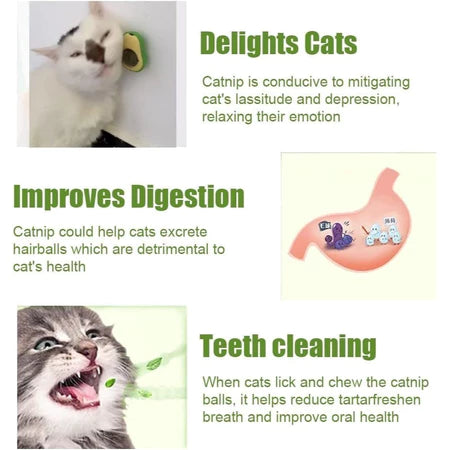 KIT de Abacate De Brinquedo Para Gatos Com Catnip Erva Gato Natural