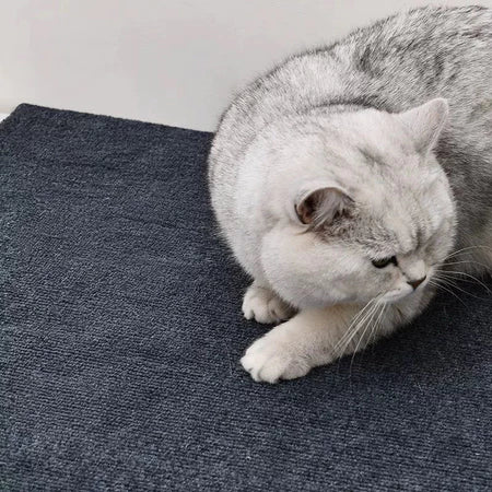 Tapete Arranhador Para Gatos Auto-Adesivo Proteçao Para Sofa