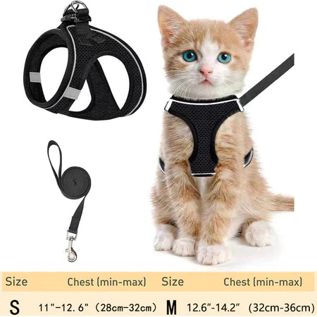 Arnés e guia ajustáveis para gatos, resistentes a fugas, com malha macia, refletiva e fáceis de controlar.