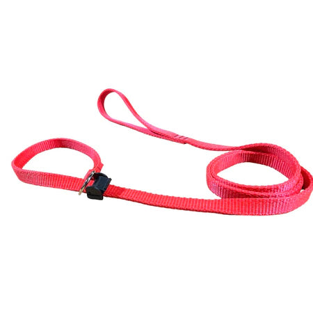 Guia Coleira Unificada Adestramento De Cães Educativa Passeio Educativa 4 Tamanhos Reforçada Barato Promoção Resistente