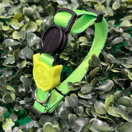 Coleira de Pescoço Anti-Enforcamento para Gatinhos - Madiba Pet