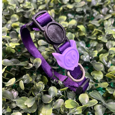 Coleira de Pescoço Anti-Enforcamento para Gatinhos - Madiba Pet