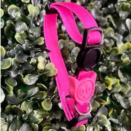 Coleira de Pescoço Anti-Enforcamento para Gatinhos - Madiba Pet