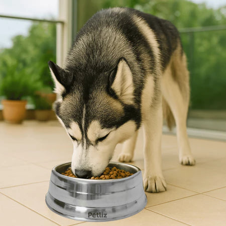 Comedouro Pesado Polido de Alumínio Para Cães Pote De Ração Resistente