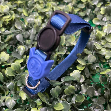 Coleira de Pescoço Anti-Enforcamento para Gatinhos - Madiba Pet