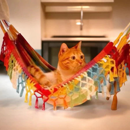 Rede Cama Para Gato Berço Balanço Para Gato Caminha Rede de Descanso Suspensa Parede