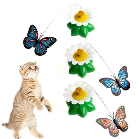 Brinquedo Rotativa Elétrica Borboleta Voadora Para Pet Gato - Envio Imediato