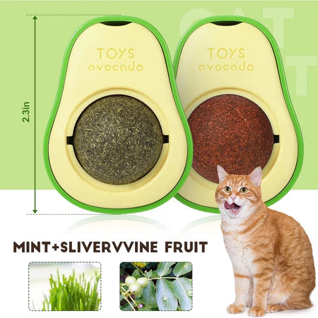 KIT de Abacate De Brinquedo Para Gatos Com Catnip Erva Gato Natural