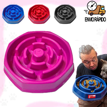 Comedouro Educativo Lento Médio Grande Porte Envio Rápido Comedouro Interativo