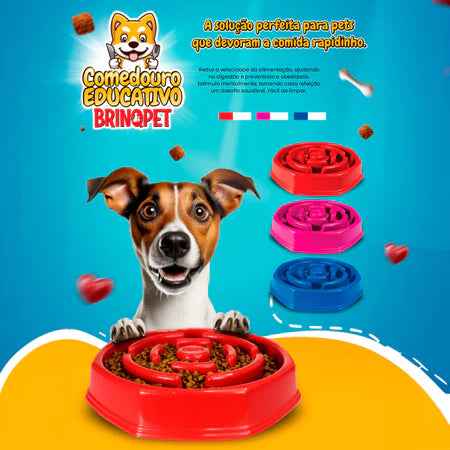 Comedouro Educativo Lento Médio Grande Porte Envio Rápido Comedouro Interativo